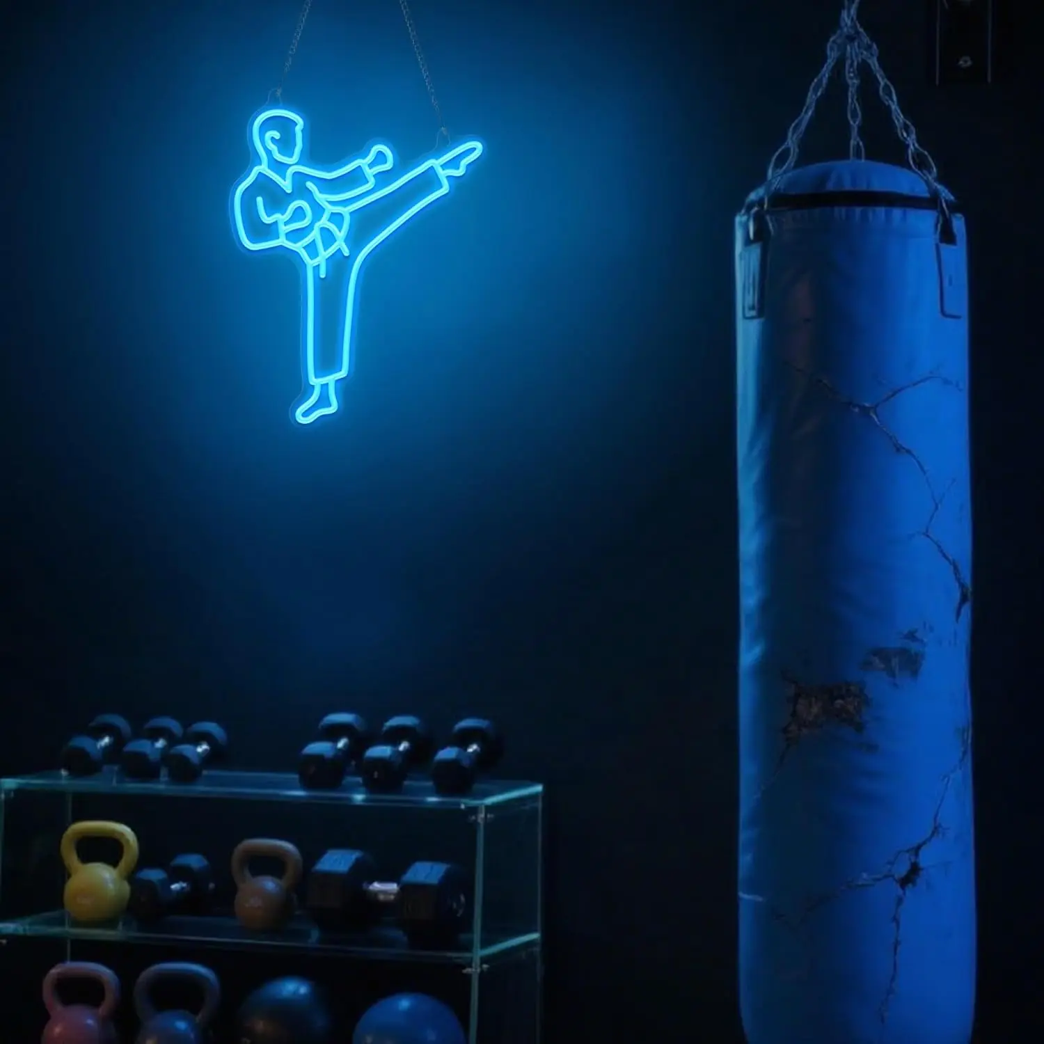 Karate-Mann-Neonschild, blaue  – Home Gym Neon Sign Bewertung und Preis